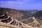 Landscape views from the West Bank city of Hebron